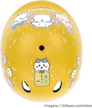 61crq+8cucL._AC_UF350,